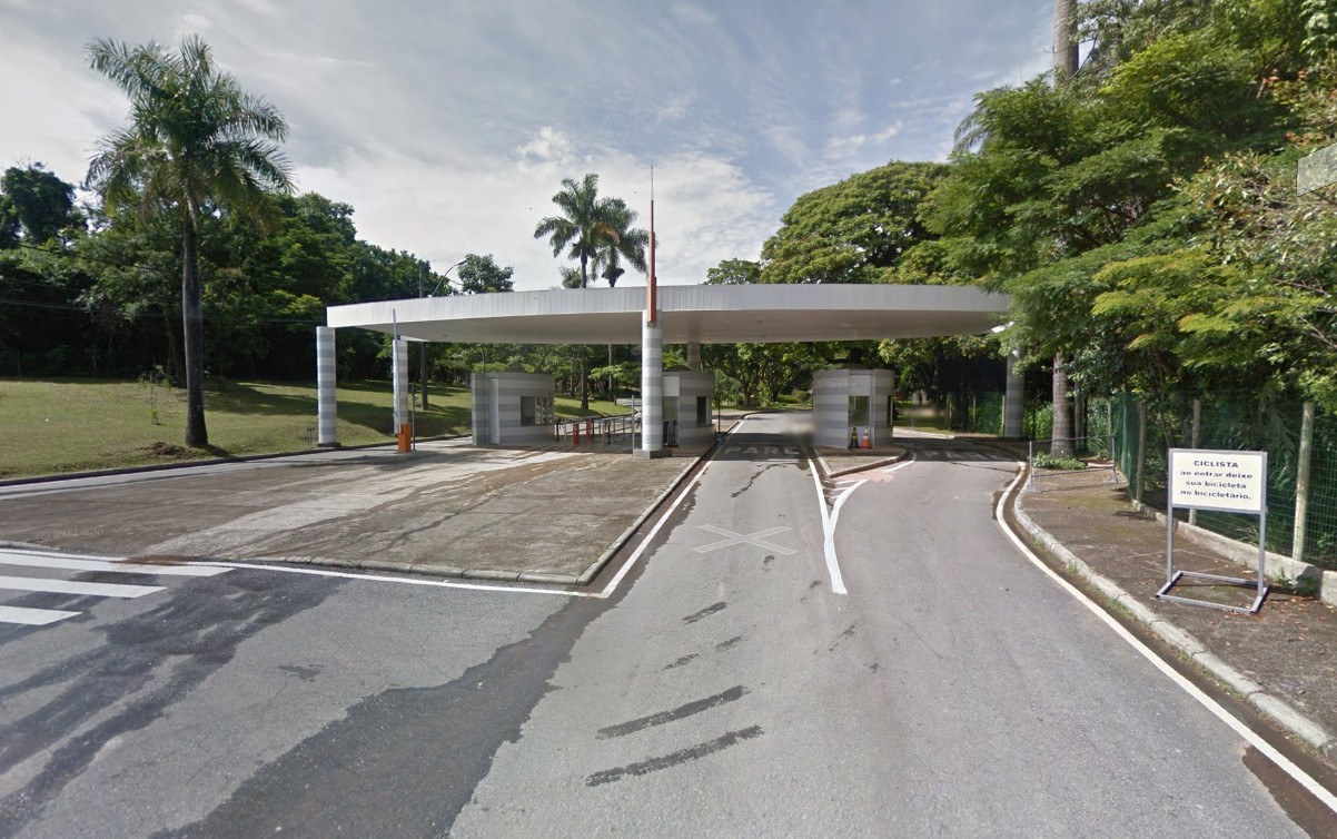 Chimpanzé morre no Zoológico de BH um dia após morte de leoa; prefeito diz que vai apurar casos