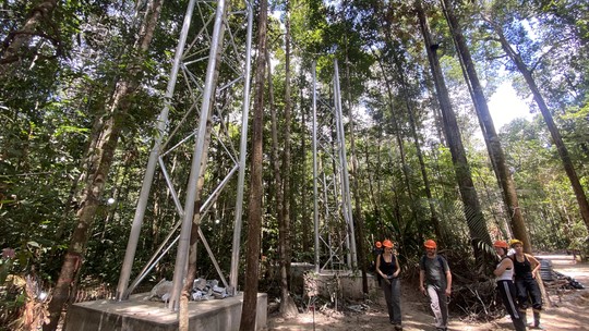 Torres vão testar reação da floresta amazônica às mudanças climáticas, no AM - Foto: (Patrick Marques/g1 AM)