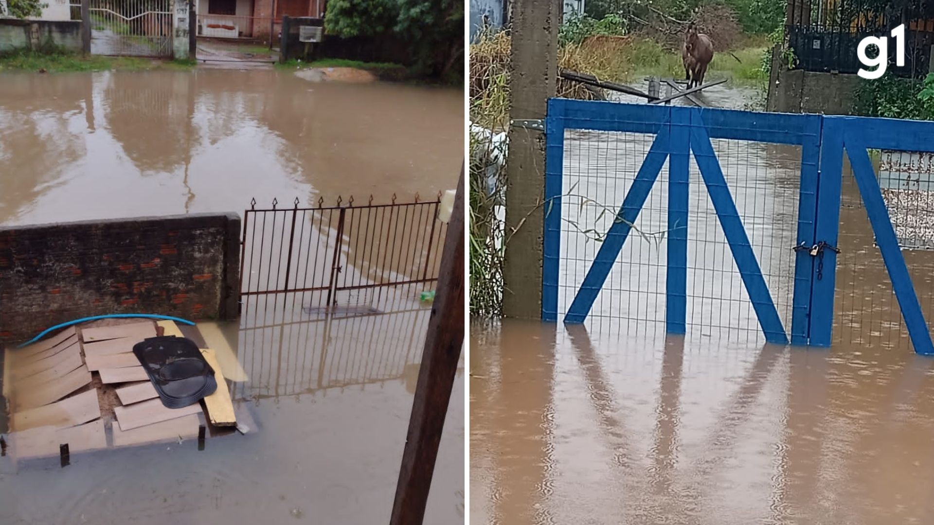 Bairro de Porto Alegre alaga após dia de chuva intensa; veja vídeo