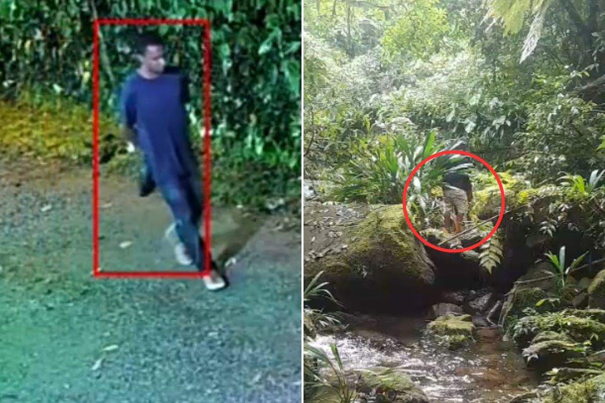 Jovem é encontrado em área de mata no litoral de SP após desaparecer na virada do ano; VÍDEO