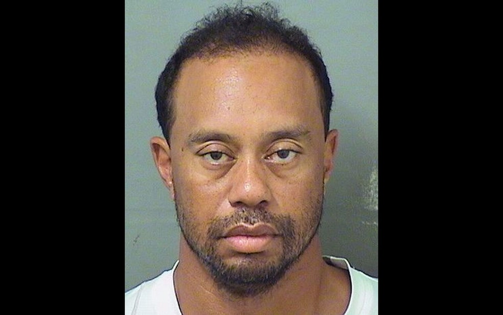 Criancas De Tiger Woods Hoje 347 Tiger Woods Kids Stock Photos,