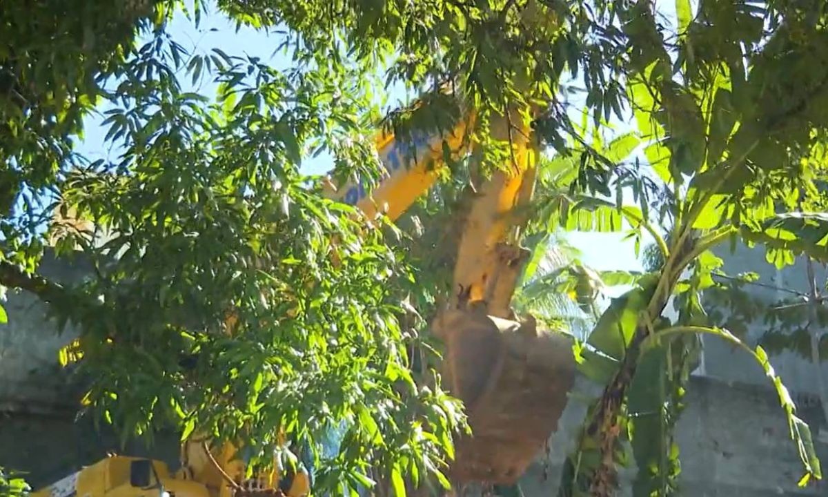 Terreiro de candomblé é demolido em Salvador; Inema afirma que construção estava em área de proteção ambiental