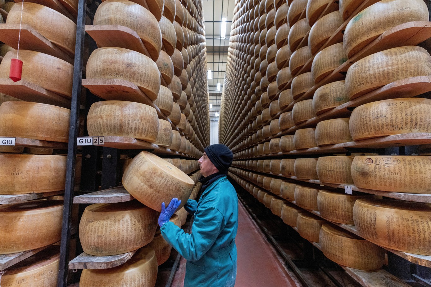 'Não queremos ser a última geração a comer esse queijo': ondas de calor ameaçam a produção do Parmigiano Reggiano na Itália