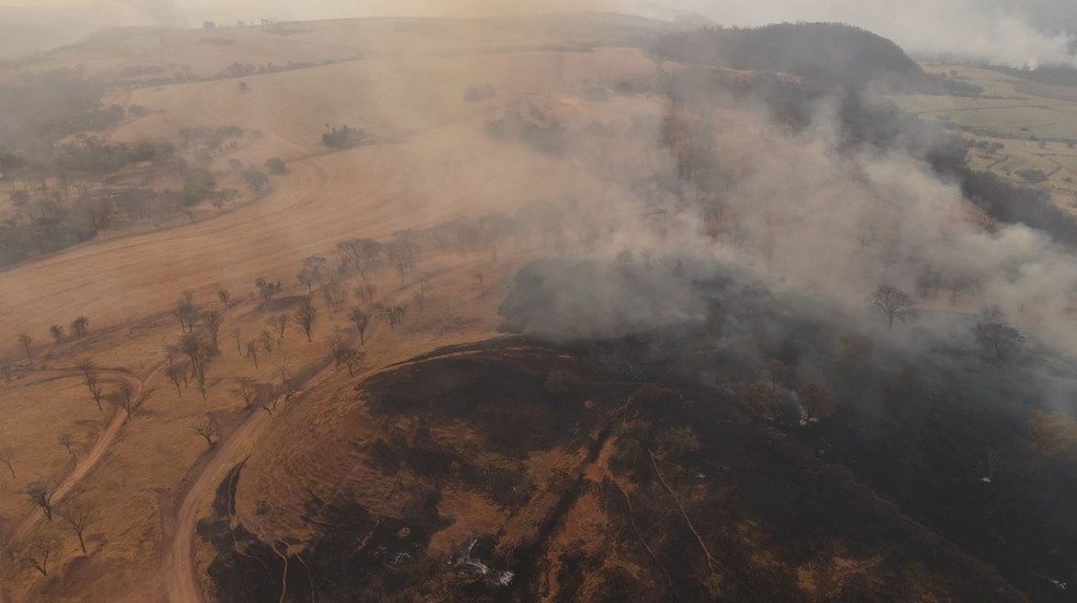 Área devastada pelo fogo e pela estiagem na zona rural de Pedregulho — Foto: Sérgio Oliveira/EPTV