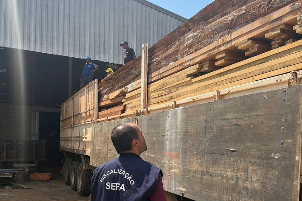 47 toneladas de madeira serrada foram apreendidas pela Sefa — Foto: Divulgação
