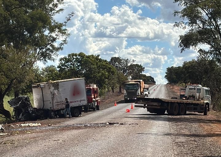 Motorista morre após caminhão carregado com morangos bater em árvore e capotar em MG