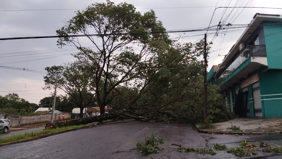 Temporal ´derruba´ Ginásio Abelhão em Mandaguaçu - Rádio Maringá