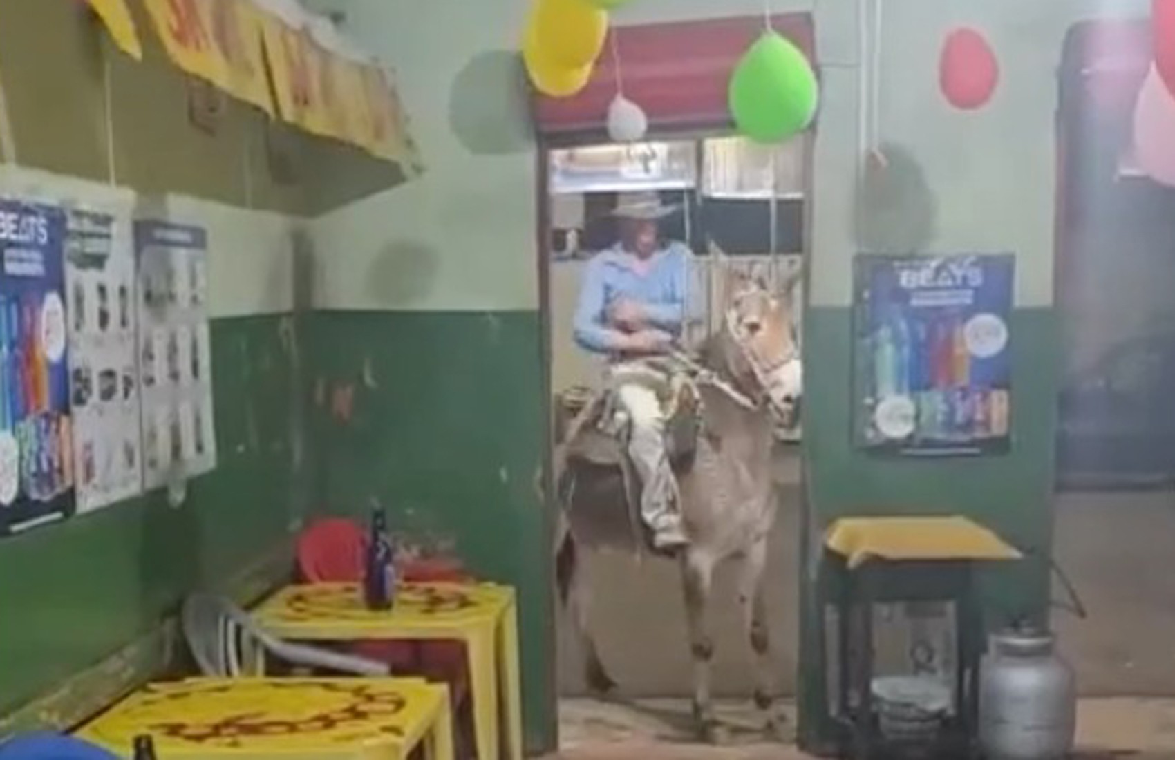 Homem é suspeito de maltratar mula para obrigá-la a entrar em bar no interior de SP; vídeo