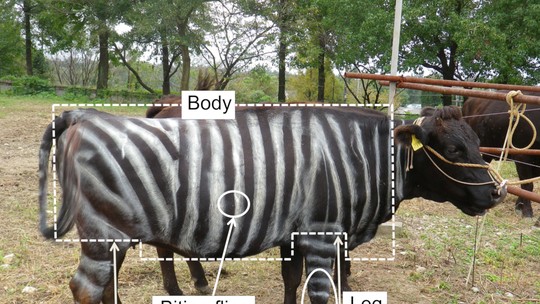 IgNobel 2025 premia pesquisas sobre lagartos que roubam pizza, leite com gosto de alho e vacas pintadas como zebras - Cerimônia em Boston celebrou estudos que fazem rir antes de fazer pensar. Trabalhos sobre unhas monitoradas por 35 anos, morcegos bêbados e até a física do famoso macarrão “cacio e pepe” também foram destacados.