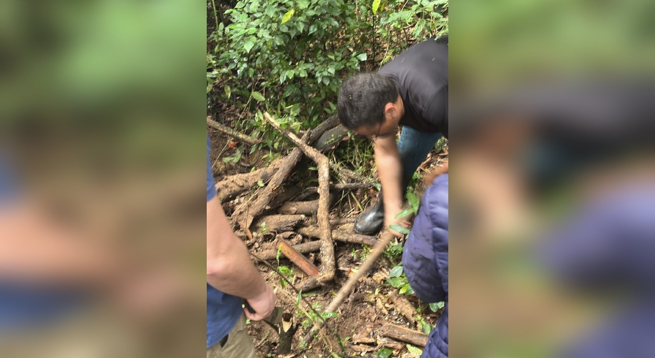 Polícia Civil encontra cabeça e mãos de mulher haitiana que foi esquartejada em Votorantim