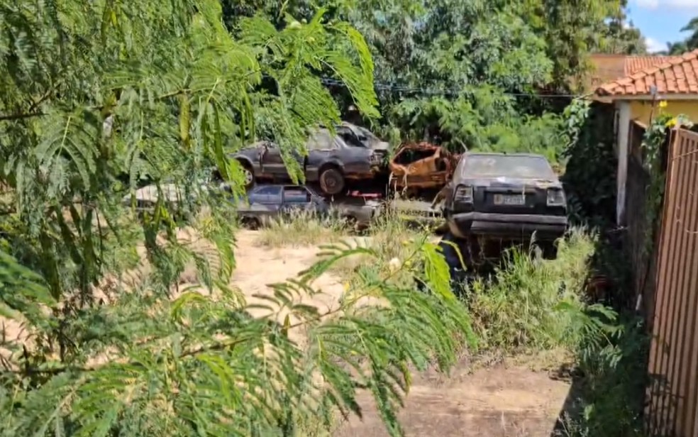 Pátio da Polícia Civil de Miguelópolis vizinho à escola onde cobras foram encontradas está sem manutenção e limpeza — Foto: Lindomar Cailton/EPTV