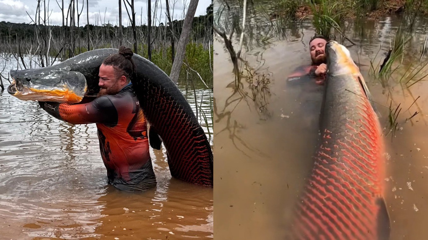 VÍDEO: biólogo pesca peixe de mais de 2 metros em rio de MT e viraliza nas redes sociais