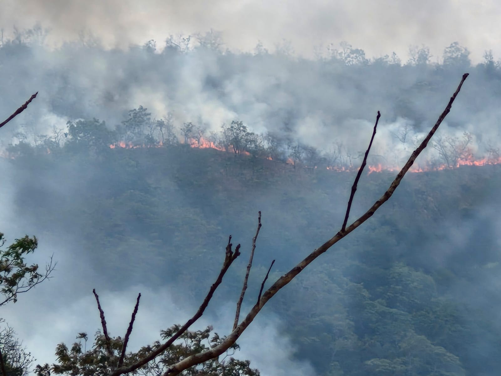 Incêndio de grandes proporções avança próximo a Terra Indígena de MT após município decretar estado de emergência; vídeo 