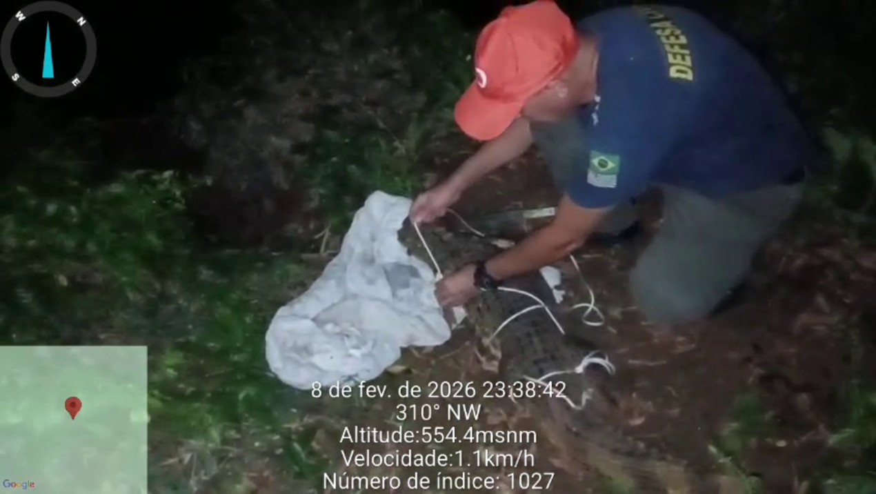 VÍDEO: jacaré-de-papo-amarelo aparece em calçada após se assustar com barulho de obras em Cesário Lange