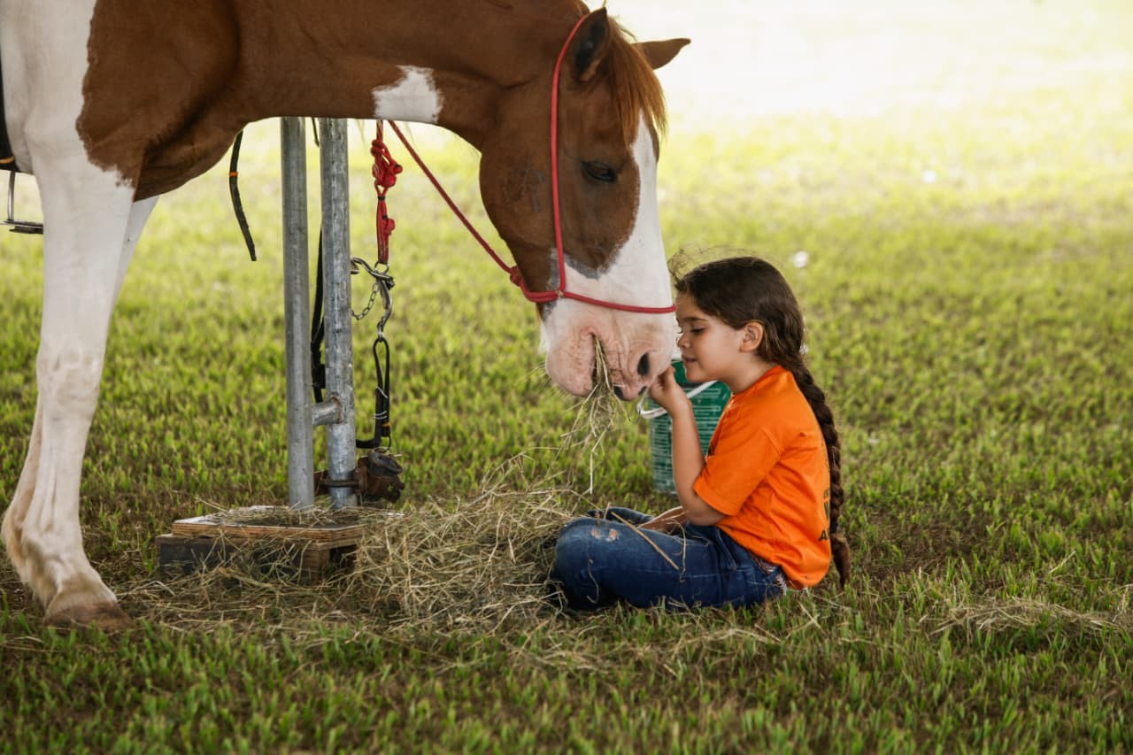 Fenagro inicia edição com shows, feiras agropecuárias, experiências imersivas em Salvador