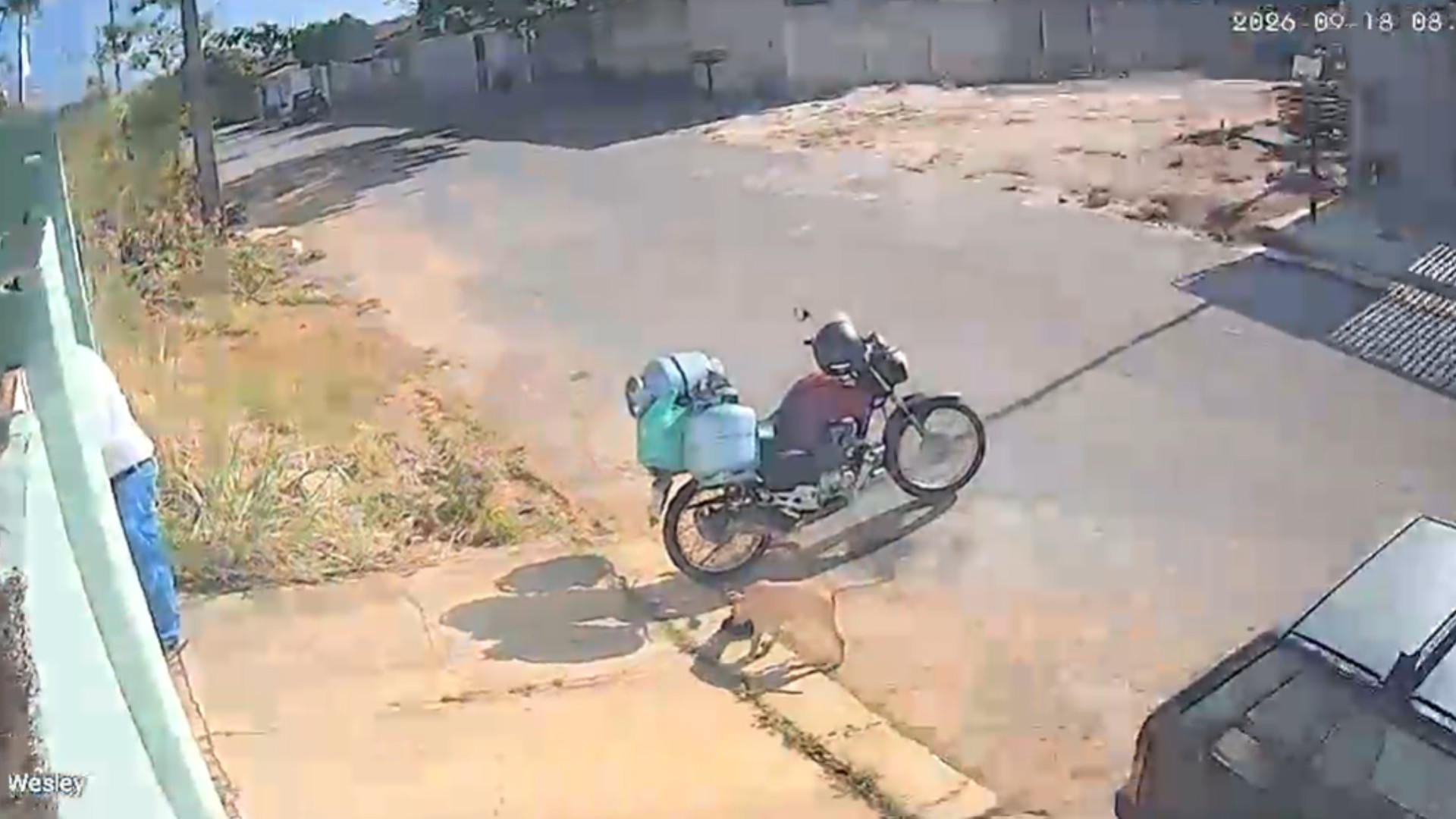 VÍDEO: ‘Cão ladrão’ assalta entregador de gás em MG