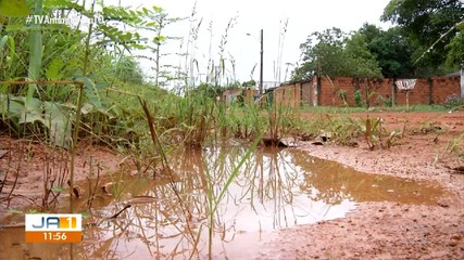 Mato alto, lama e lixo: moradores do Aureny III enfrentam diversos problemas