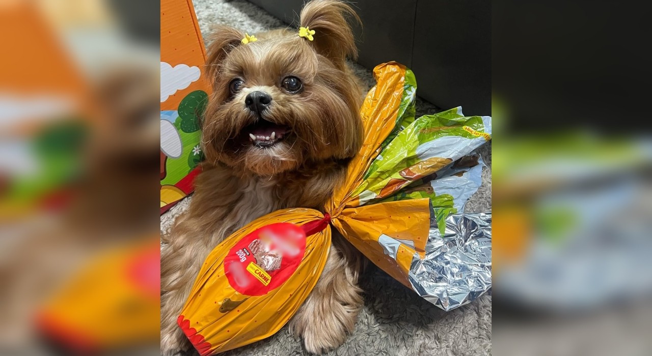 Você Não Tá Convidada pro Meu Bat Mitzvá!