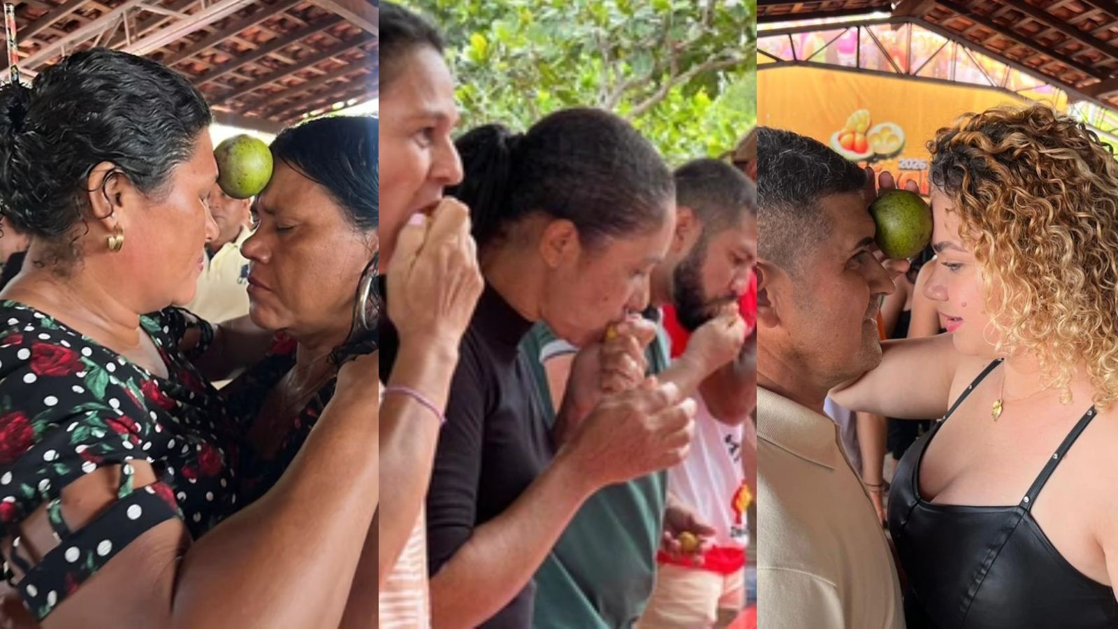 'Dança do pequi na testa' e 'maior roedor': fruto inspira festival com competições no Piauí