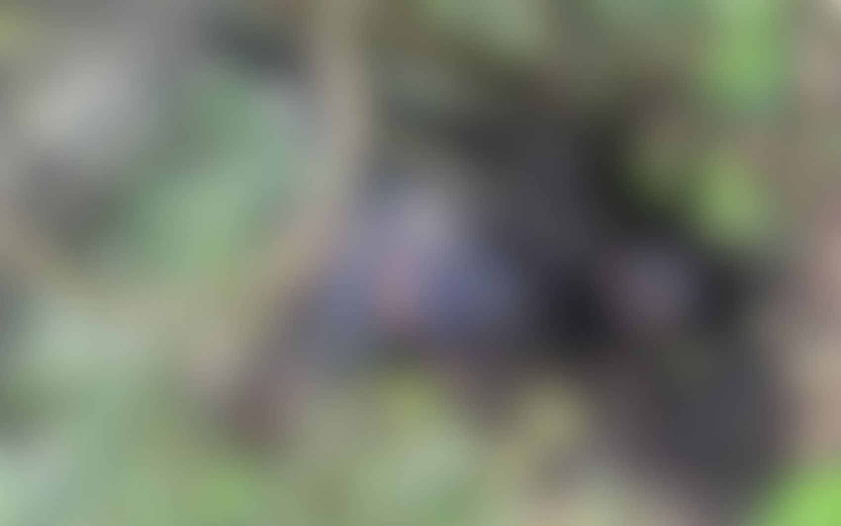 Corpo de mototaxista é encontrado queimado e amarrado em Itaporanga após 10 dias desaparecido