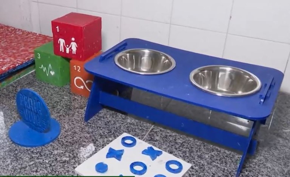 Brinquedos infantis e comedouros para pets feitos com tampinhas de garrafas plásticas, em João Pessoa — Foto: TV Cabo Branco/Reprodução