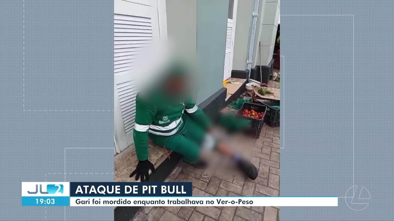 Gari é atacado por cachorro da raça pit bull no Ver-o-Peso, em Belém