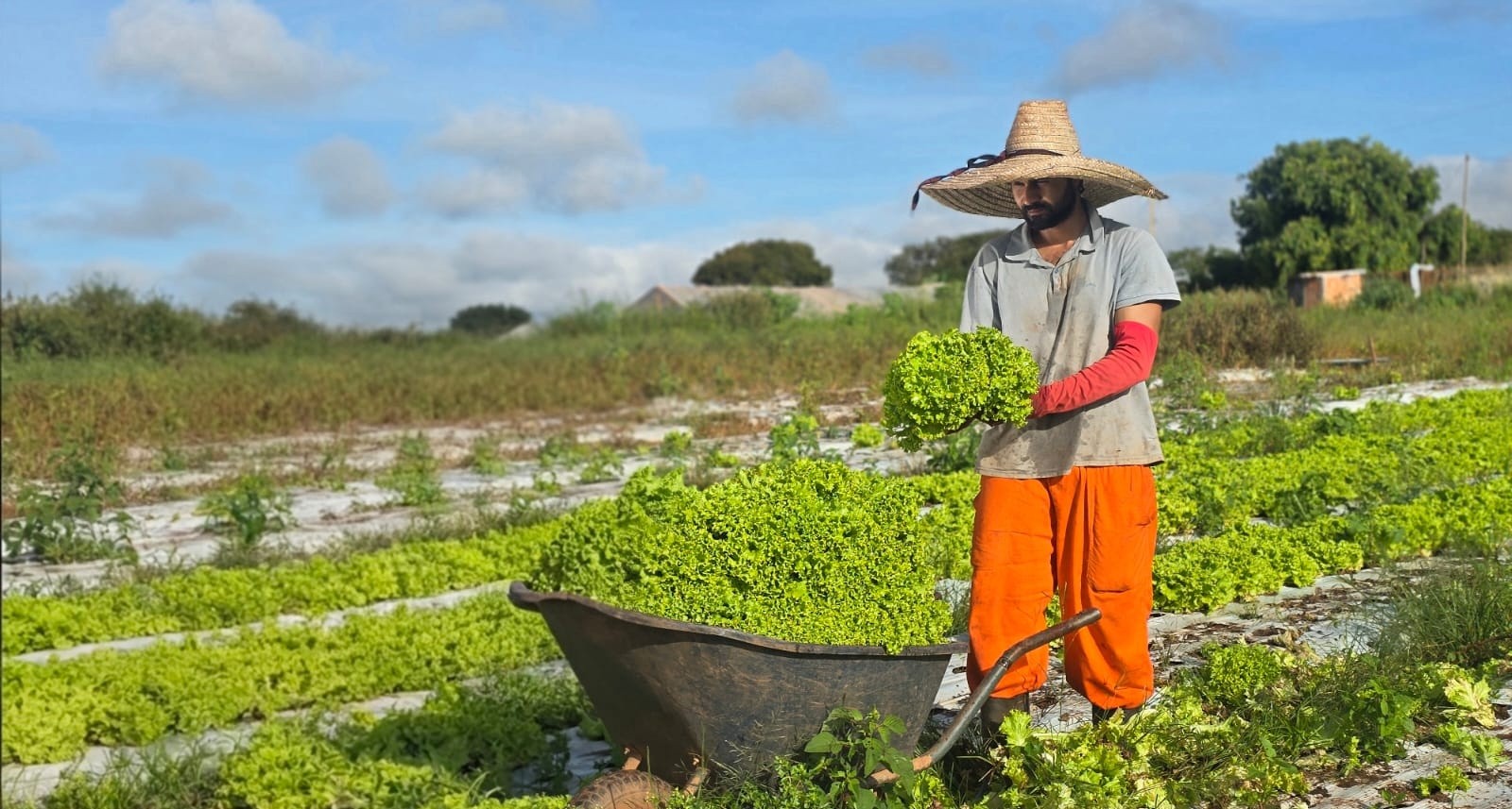 Prefeitura de Montes Claros conta com Programa de Desenvolvimento Rural