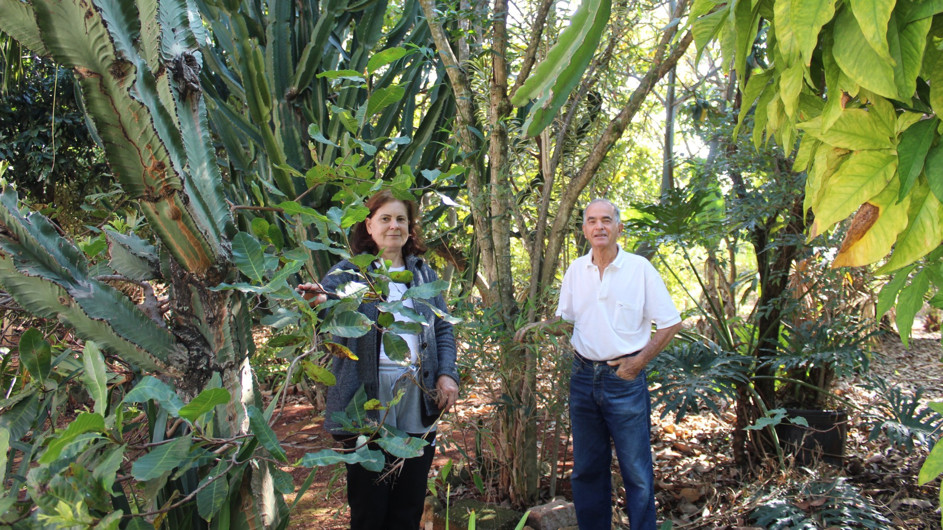 Casal transforma área em 'pequena floresta urbana' escondida na zona oeste de Sorocaba há 15 anos: 'Lutamos para protegê-la'