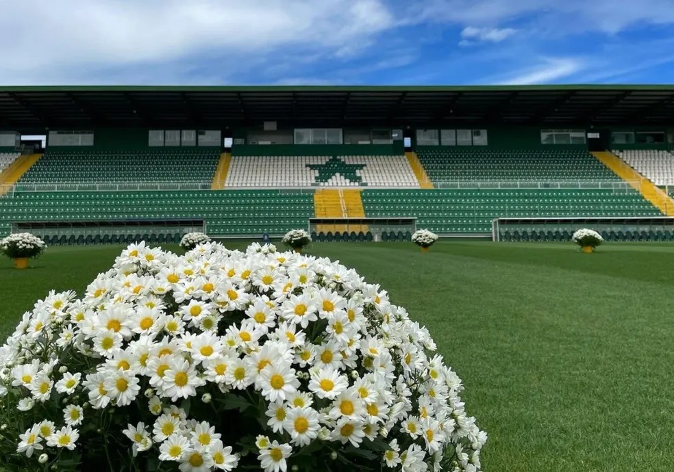 Flores colocadas no gramado da Arena Condá em 29 de novembro — Foto: Alessandra Seidel/ACF