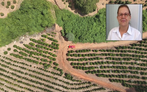 Farmacêutica encontrada morta em MG: o que se sabe sobre o caso | G1
