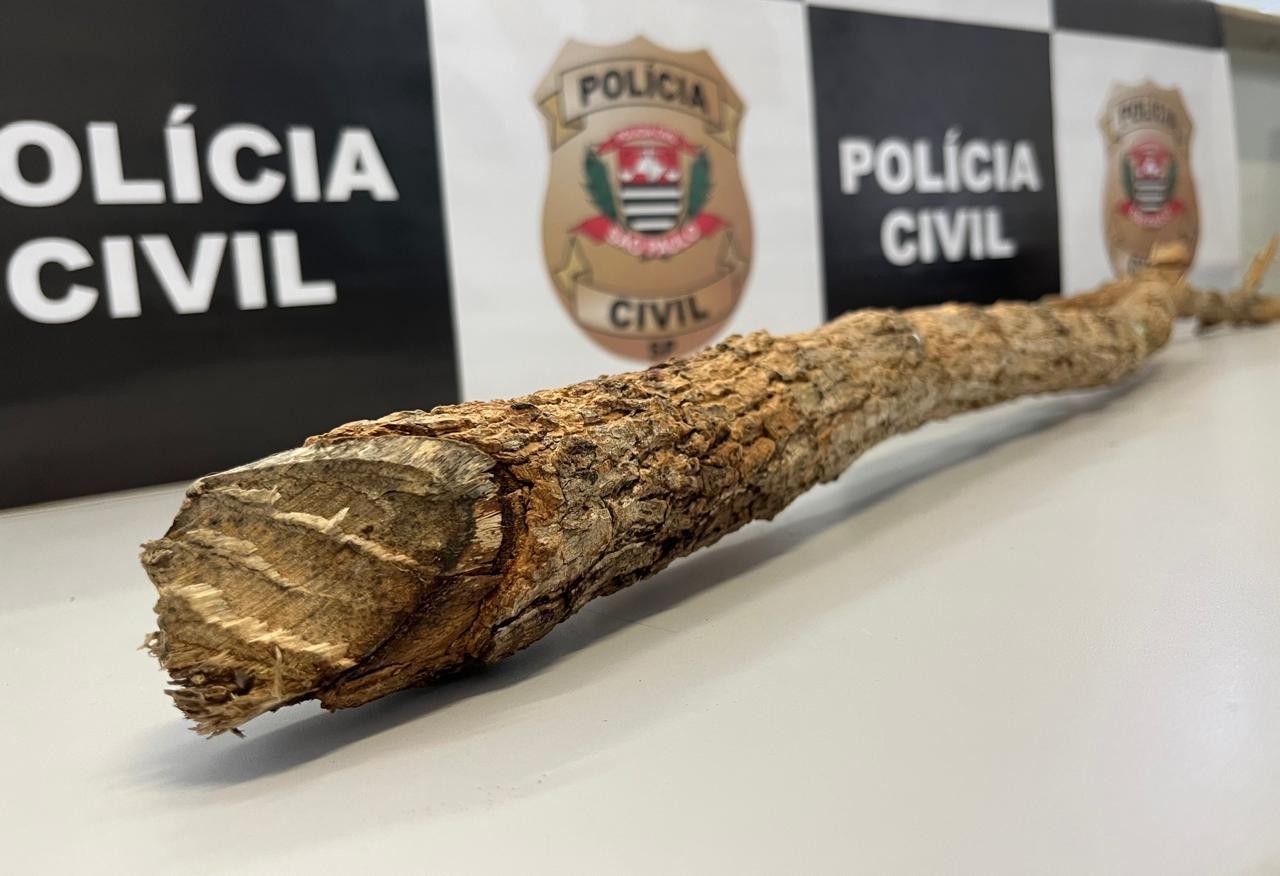 Polícia prende suspeito de matar homem encontrado morto às margens de linha férrea em Agudos