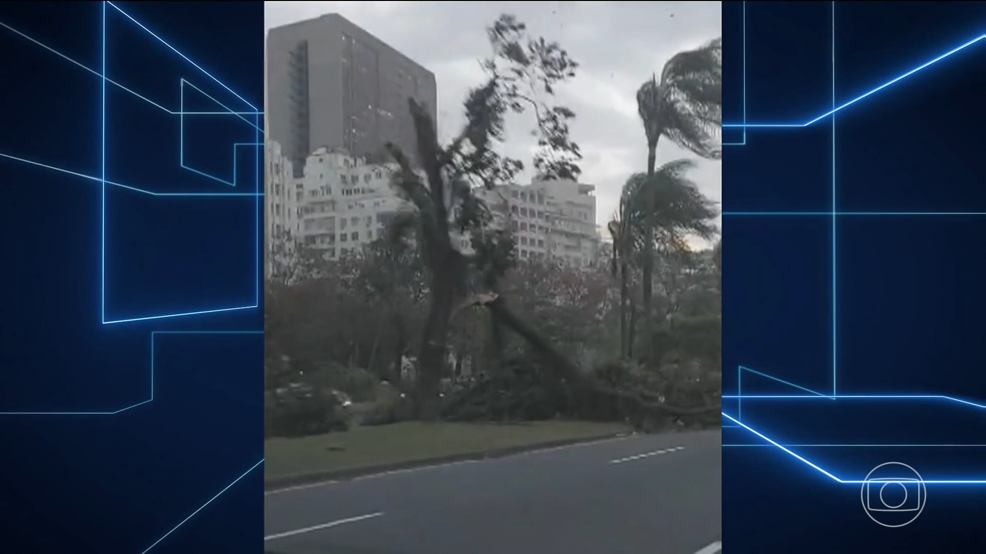 Mortes, desaparecimento e apagões: veja o que a ventania no Rio de Janeiro causou nesta quarta