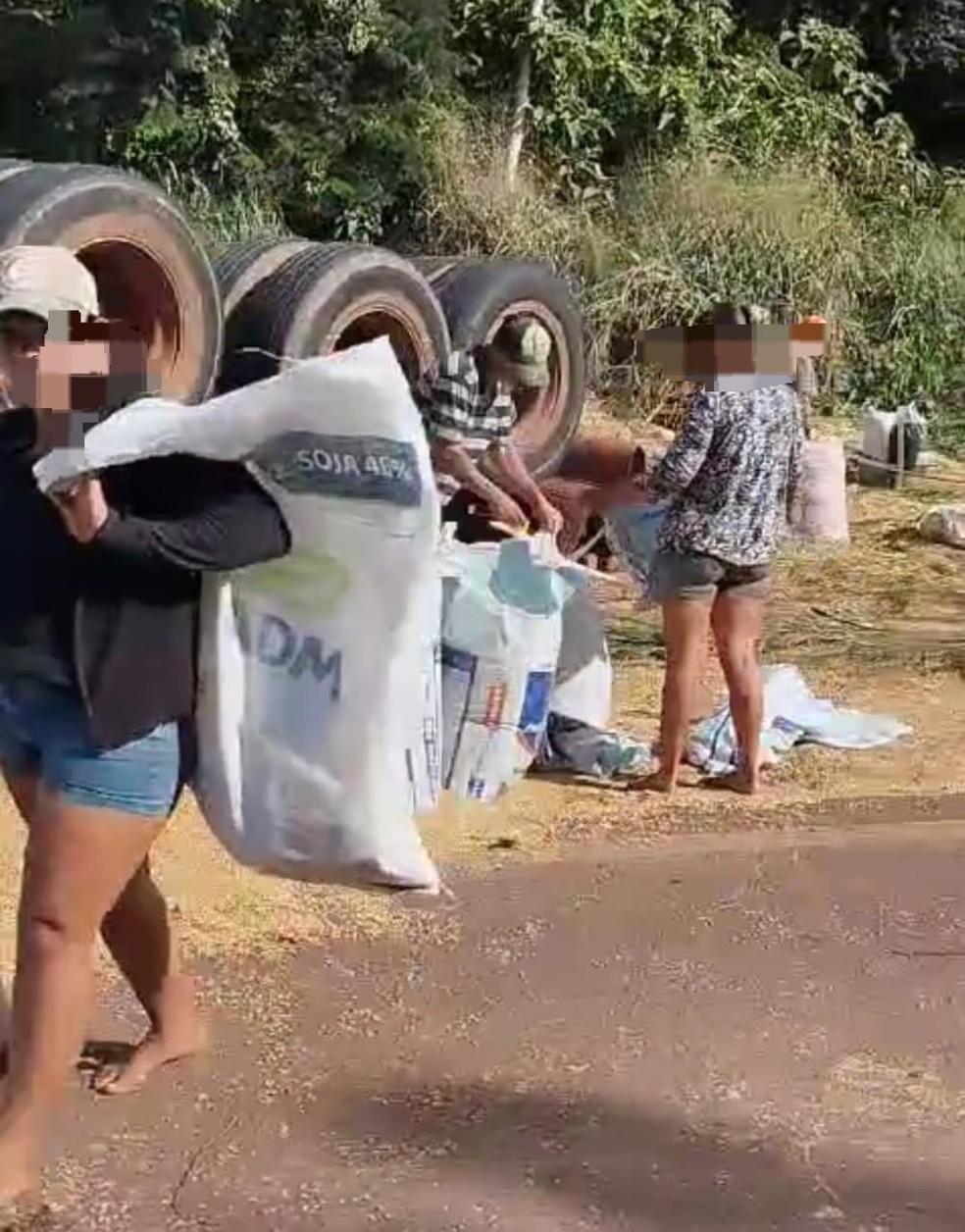 Dois caminhões carregados de soja tombam na BR-222, no Maranhão — Foto: Divulgação