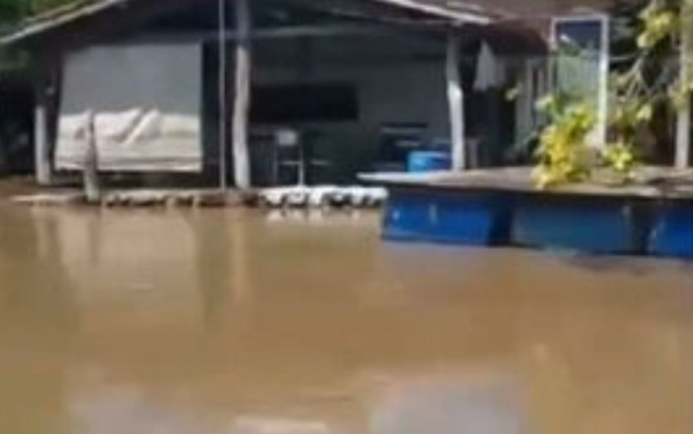 Casa alagada aps Rio Araguaia transbordar em So Miguel do Araguaia  Foto: Reproduo/TV Anhanguera