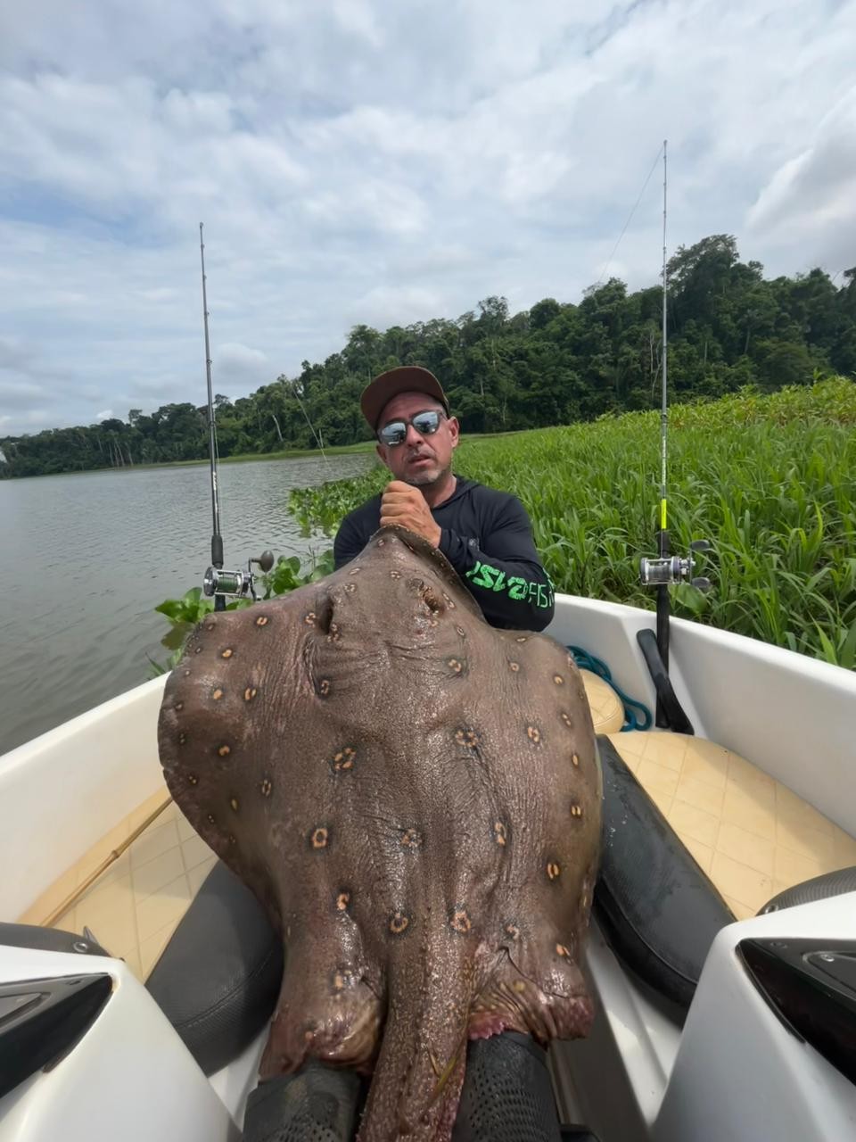 Raia de grande porte é fisgada por pescador esportivo no Rio Madeira, em Rondônia