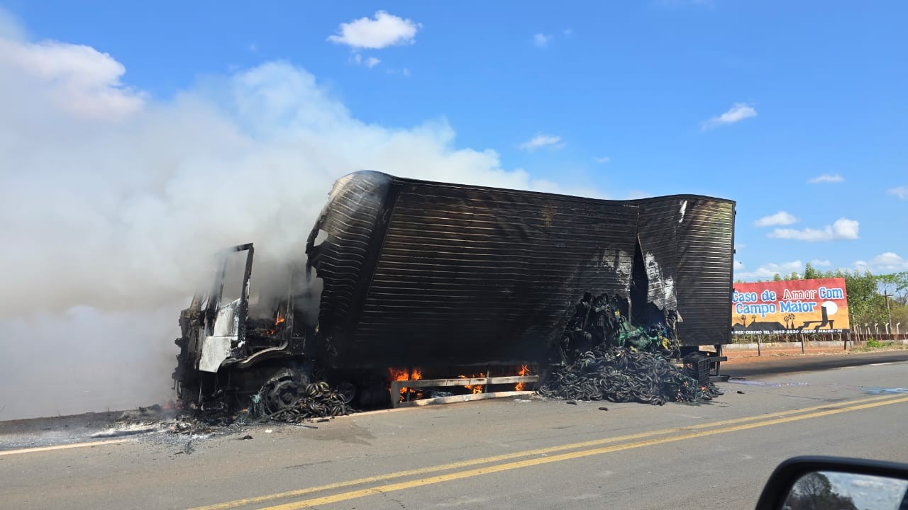 Caminhão com carga de frutas pega fogo e fica destruído na BR-343