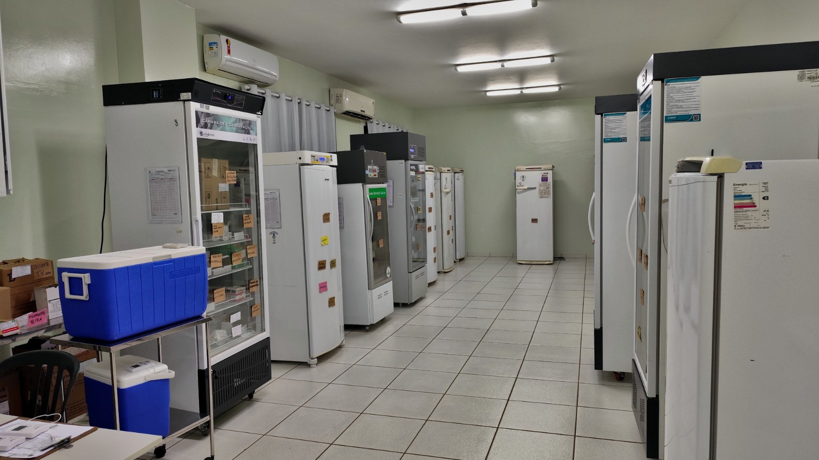 Profissionais da Saúde recebem as primeiras doses da nova vacina contra a dengue