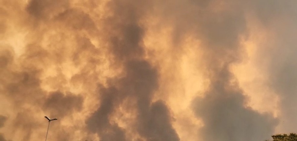 Fumaça encobre céu na região de Ribeirão Preto — Foto: Arquivo pessoal