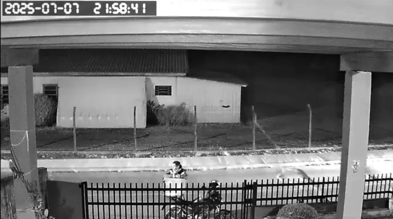 Motoboy é atropelado por motorista com CNH vencida há 7 anos ao entregar pizza em SC; VÍDEO
