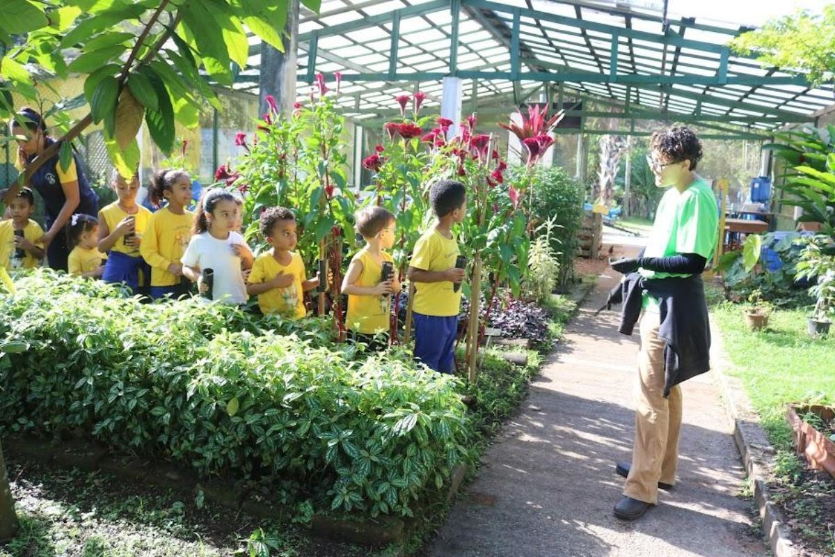 Semana do Meio Ambiente em Santos, SP, conta com mais de 40 atividades gratuitas; confira a programação