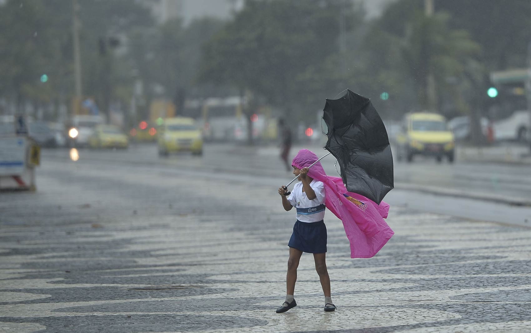 Cuidados durante ventos fortes: o que fazer em casa, na rua, áreas de risco e mais em caso de emergências