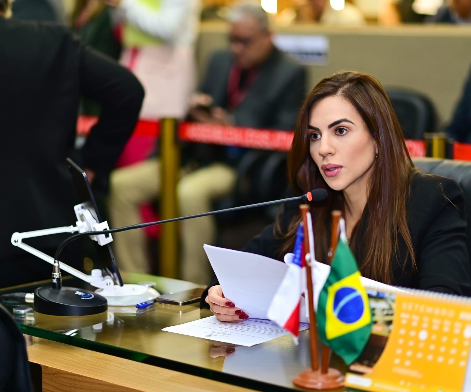 Comissão de Defesa dos Direitos da Criança e do Adolescente divulga balanço do semestre