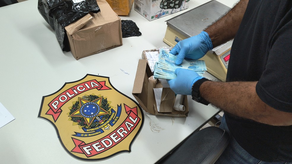 Cédulas falsificadas foram apreendidas em Natal — Foto: Polícia Federal