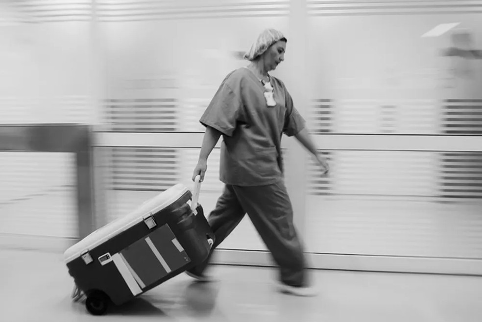 Fila para o transplante no Brasil tem mais de 43 mil pessoas — Foto: Lalo de Almeida