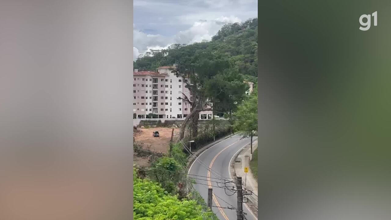 Moradores fazem vídeo impressionante de queda de árvore sobre a rede elétrica em Petrópolis: 'pra rua, não acredito!'