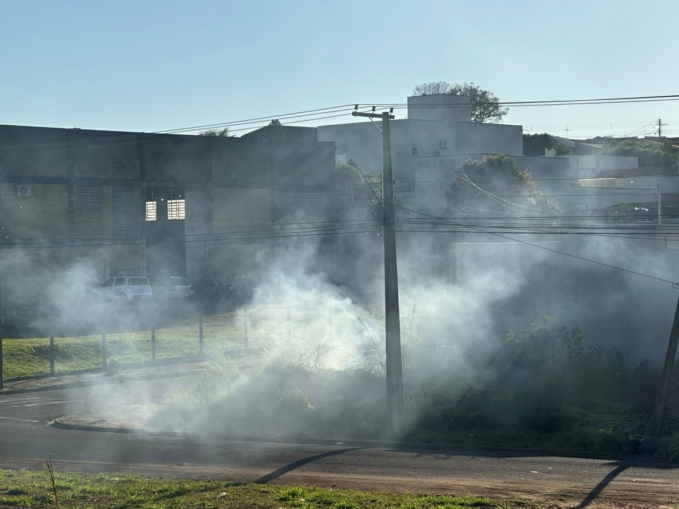 Incêndio em depósito de galhos mobilizou equipes em Presidente Prudente (SP) — Foto: Emerson Sanchez/TV TEM