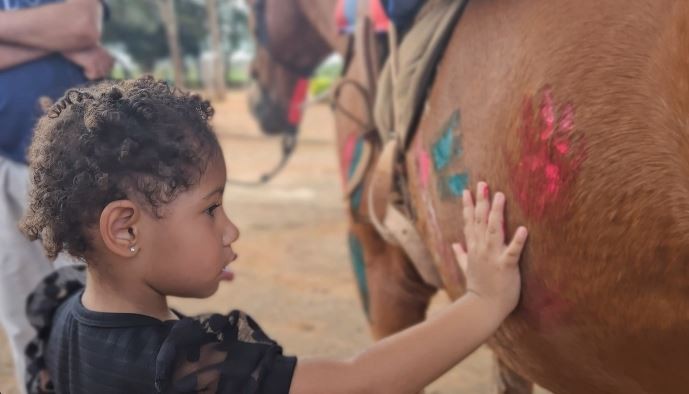 Você Não Tá Convidada pro Meu Bat Mitzvá!