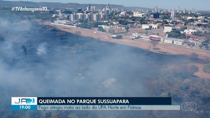 Queimada atinge Parque Sussuapara e se aproxima de unidade de saúde de Palmas