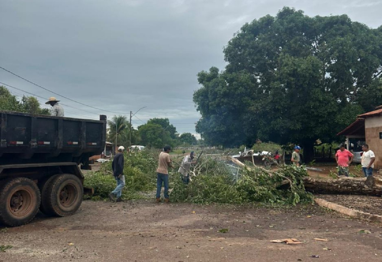 Temporal provoca queda de árvores, muros e telhados na região norte do Tocantins 