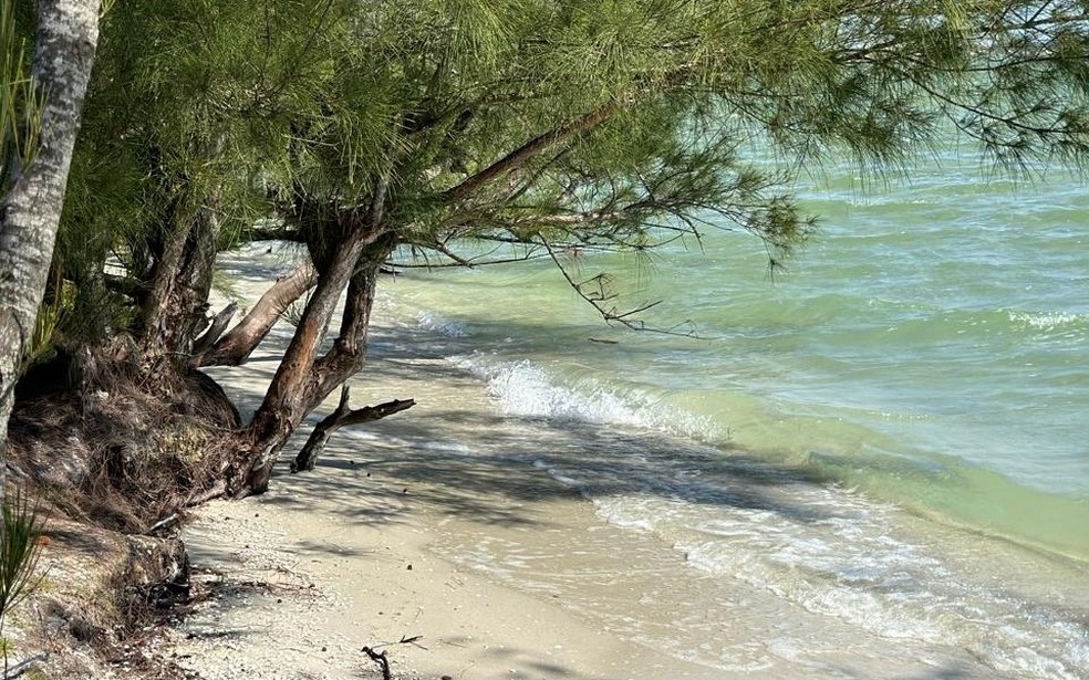 Praia do Caiçara foi aprovada pelo Júri Nacional do Bandeira Azul, certificação reconhecida mundialmente por promover a qualidade ambiental e a sustentabilidade nas regiões costeiras — Foto: Secretaria do Ambiente e Saneamento de Arraial do Cabo